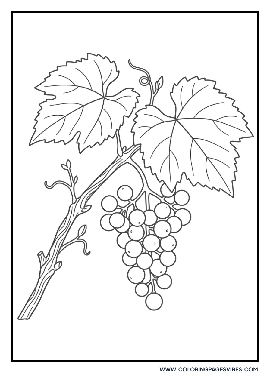 Wild Grapes