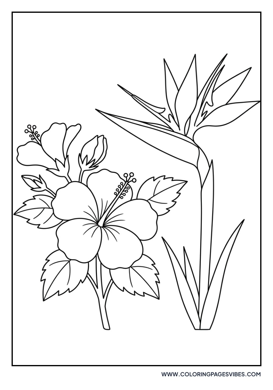 Hibiscus and Bird of Paradise