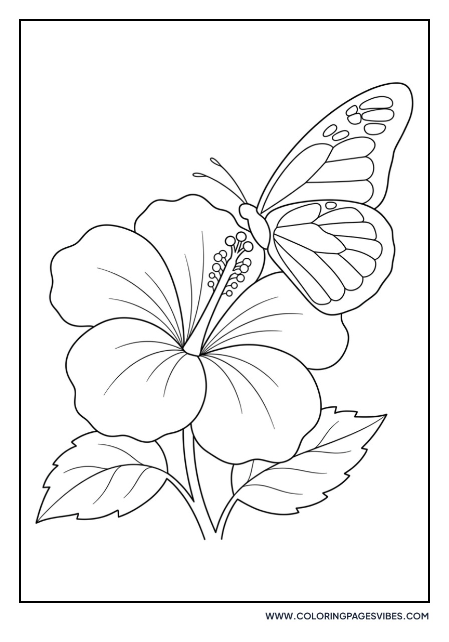 Hibiscus and Butterfly