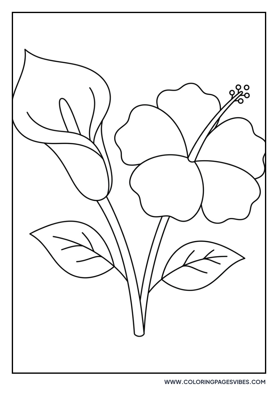 Hibiscus and Calla Lily