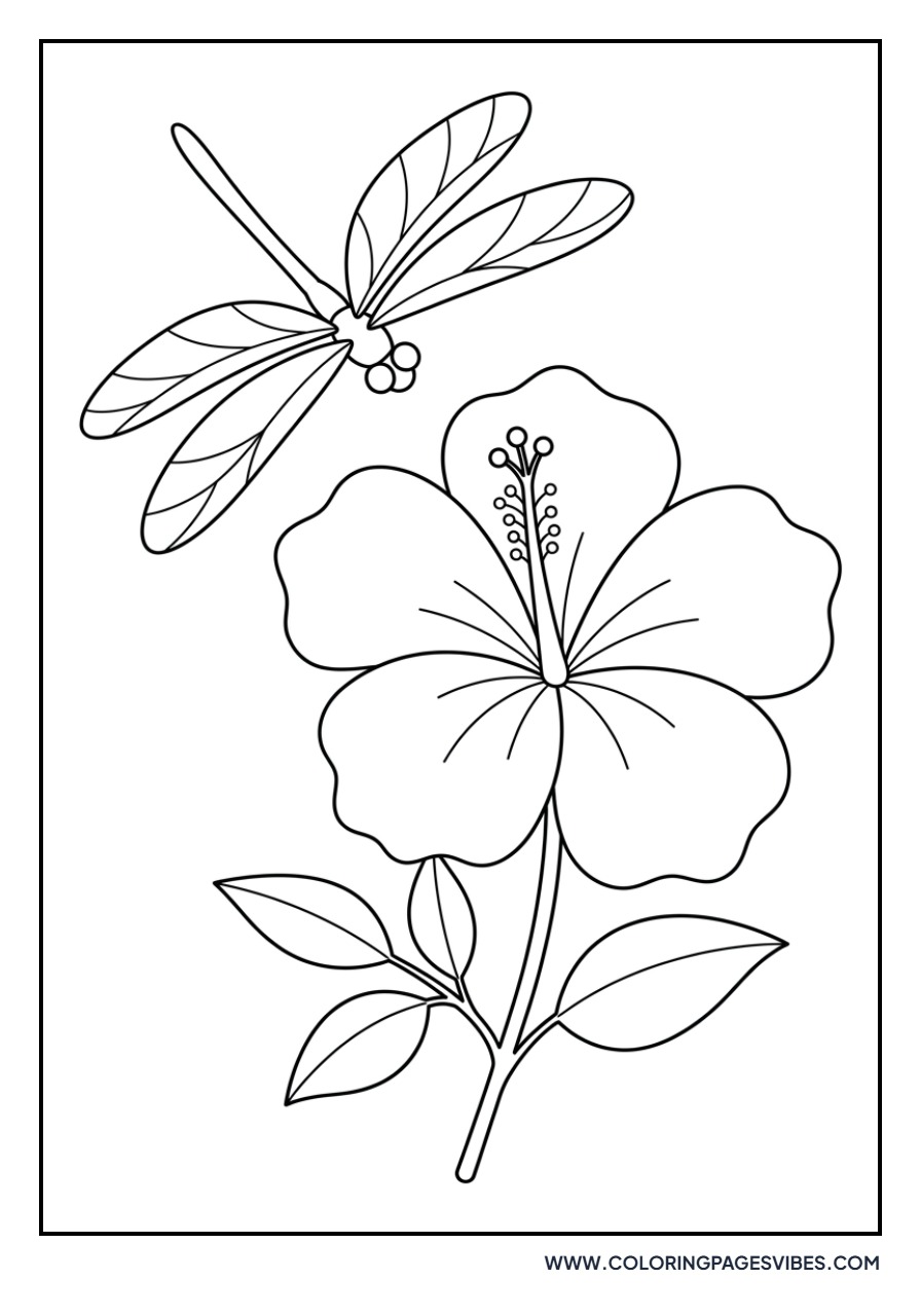 Hibiscus and Dragonfly