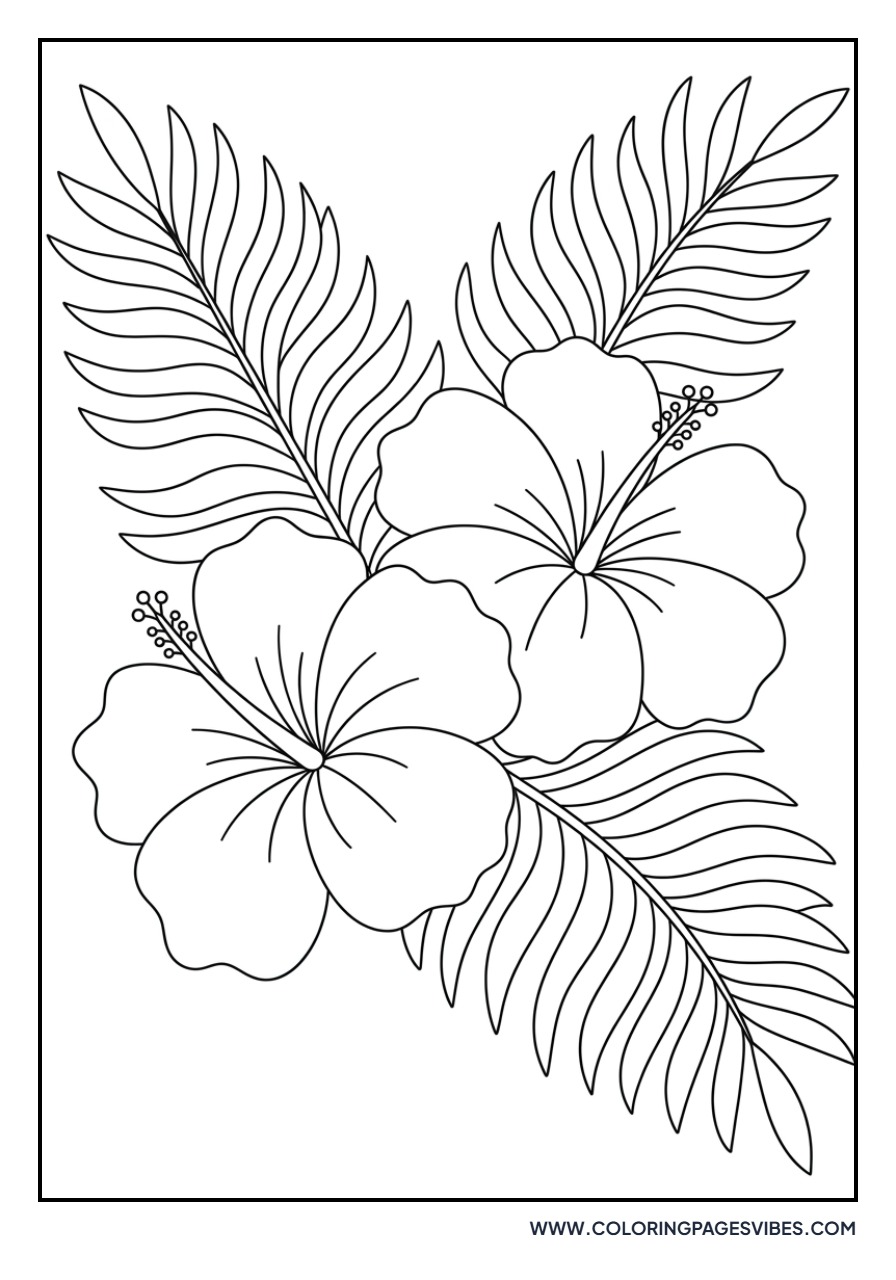 Hibiscus and Ferns