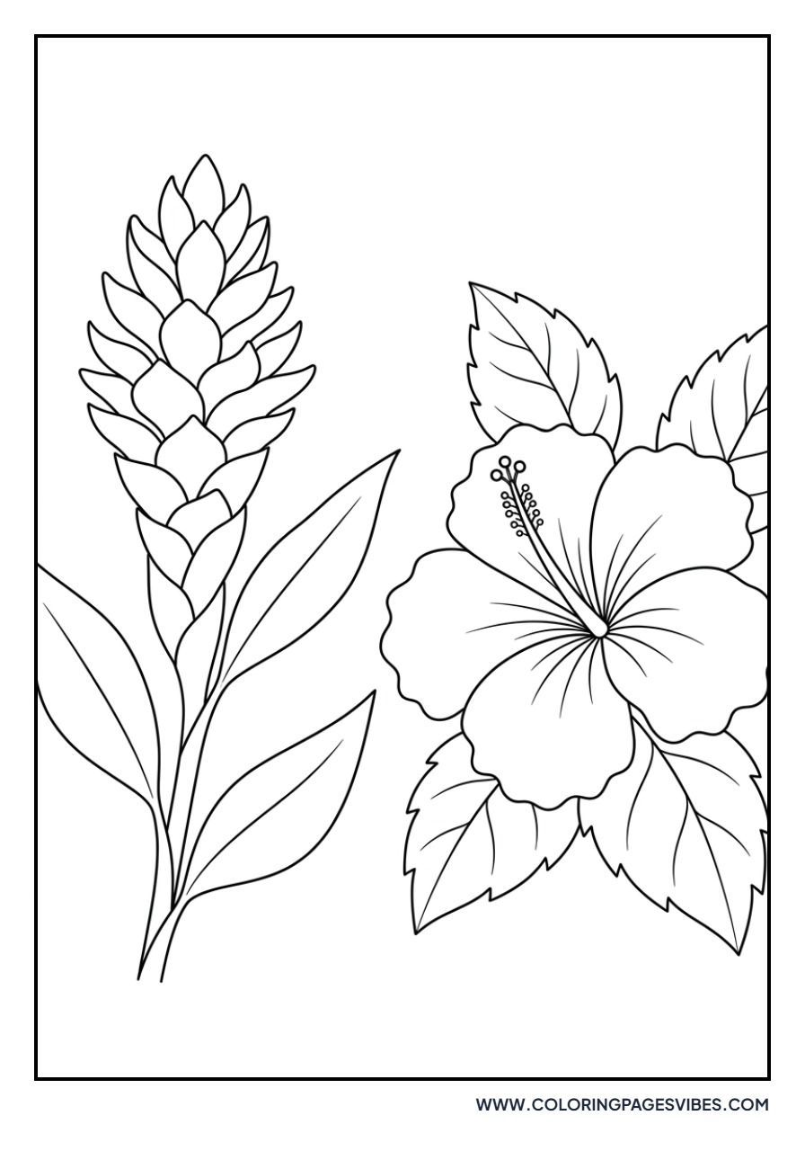 Hibiscus and Ginger Flower