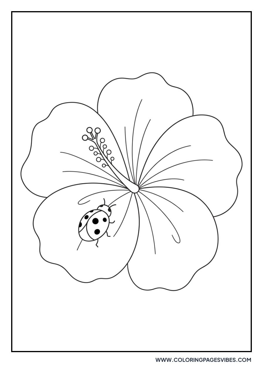 Hibiscus and Ladybug