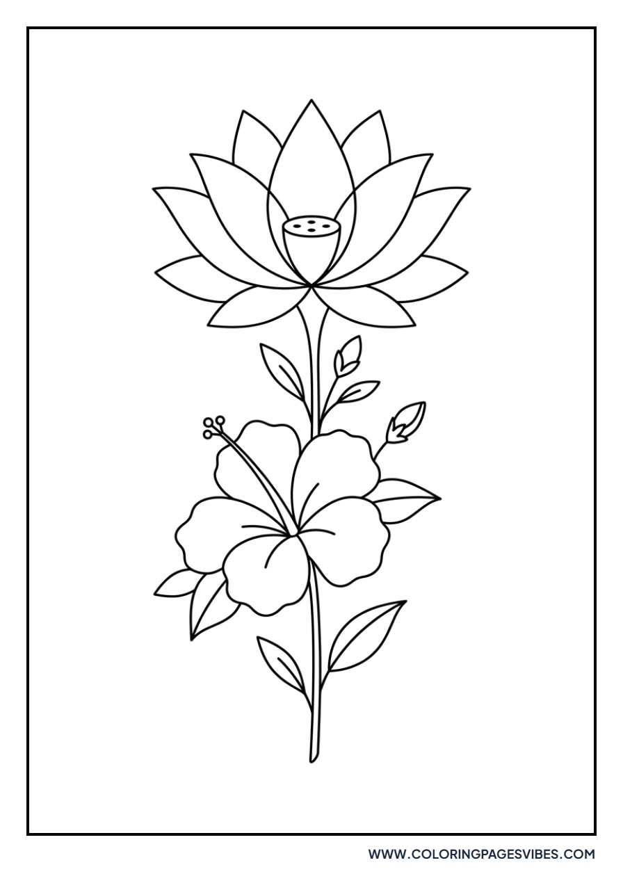 Hibiscus and Lotus