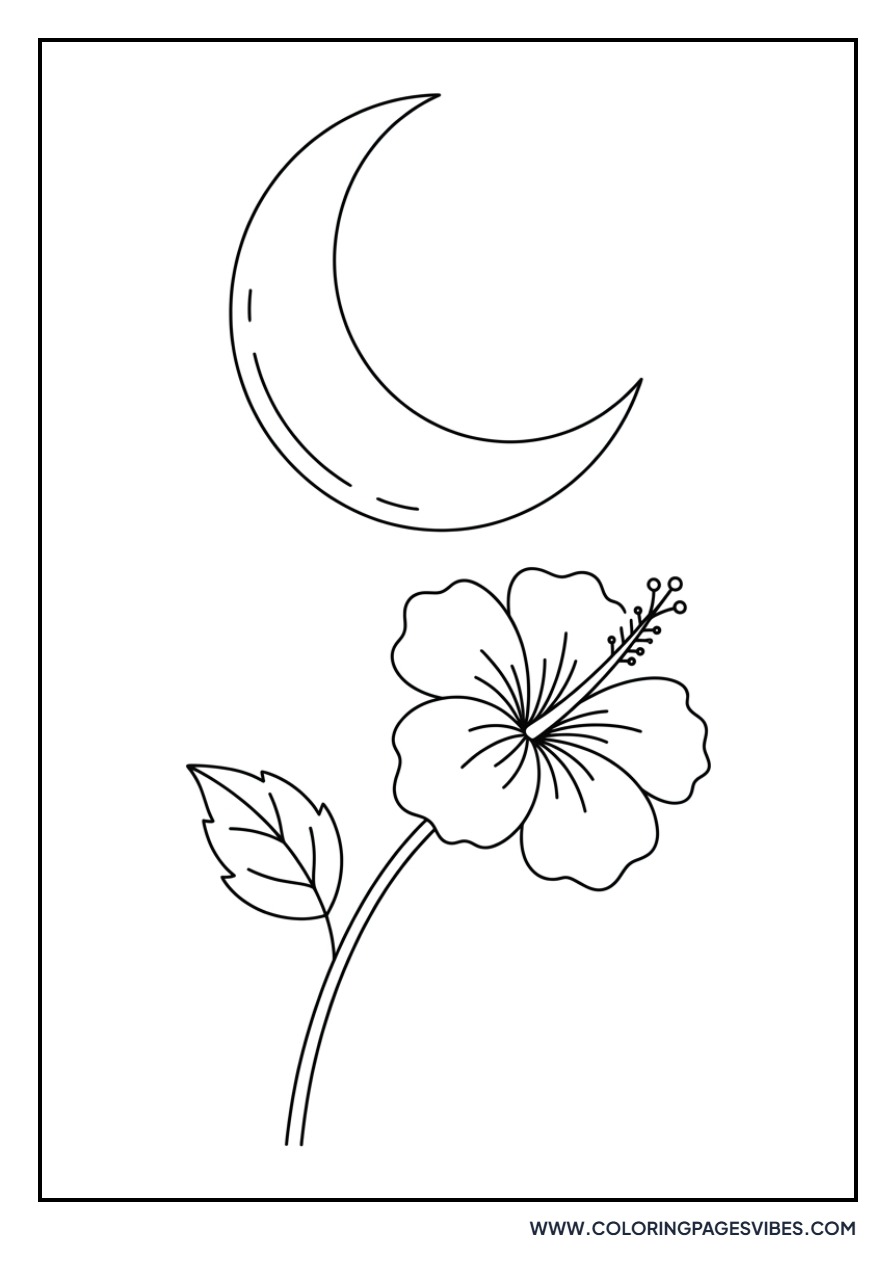 Hibiscus and Moon