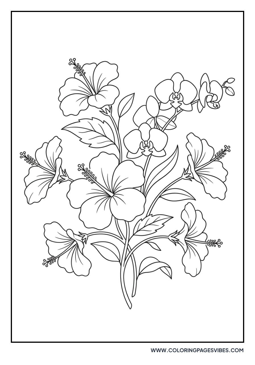 Hibiscus and Orchids