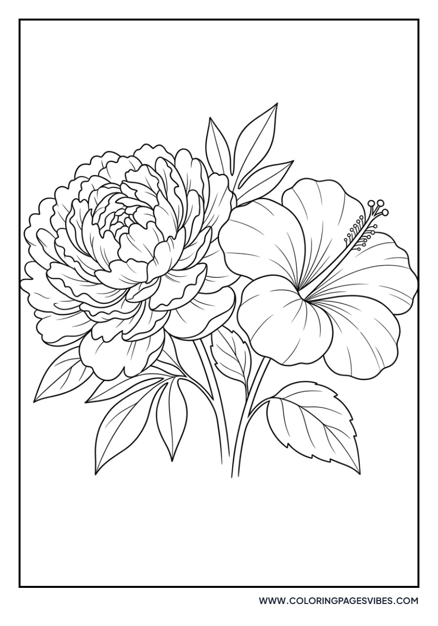 Hibiscus and Peony