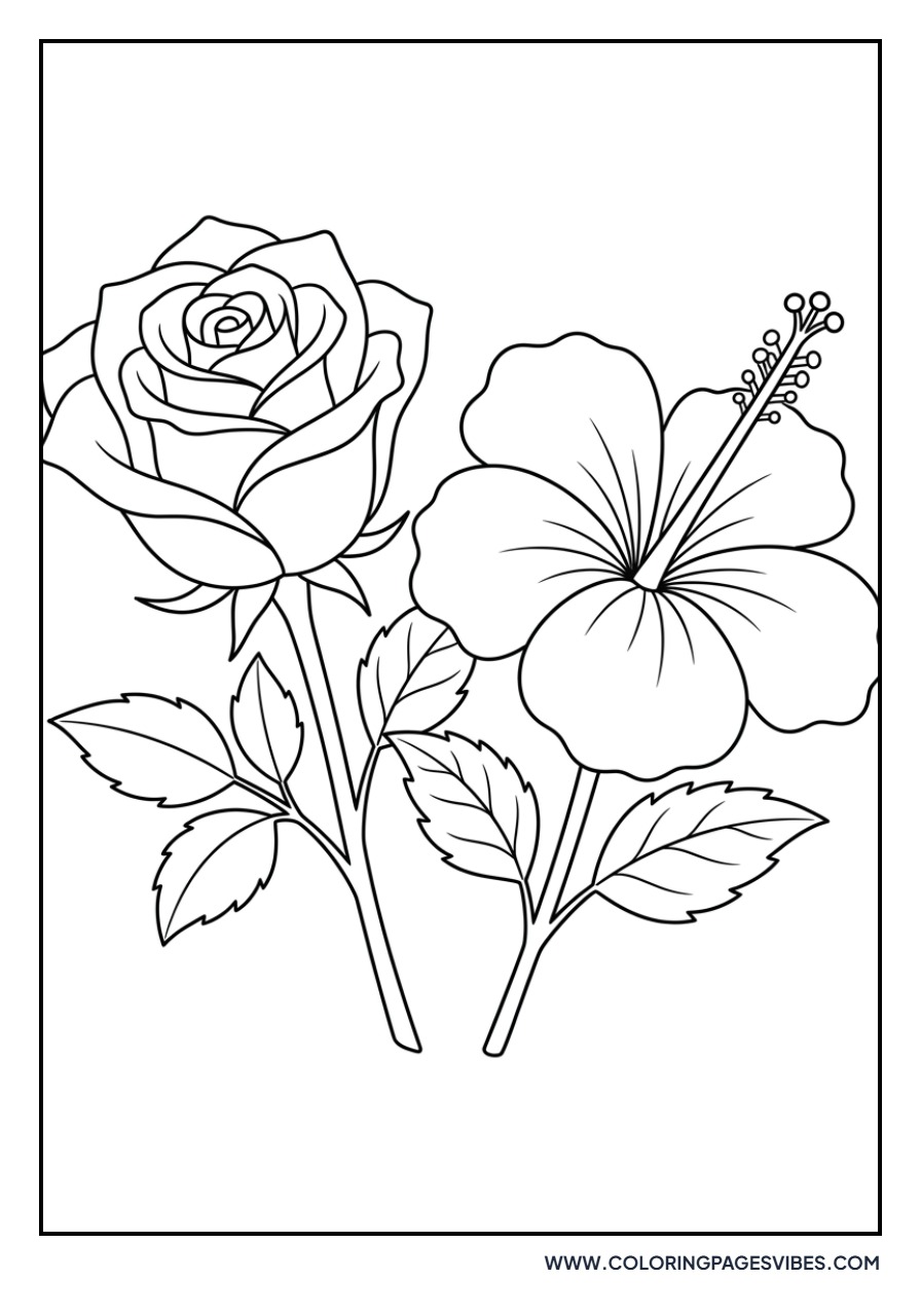 Hibiscus and Rose