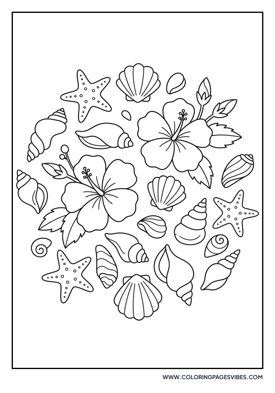 Hibiscus and Shells