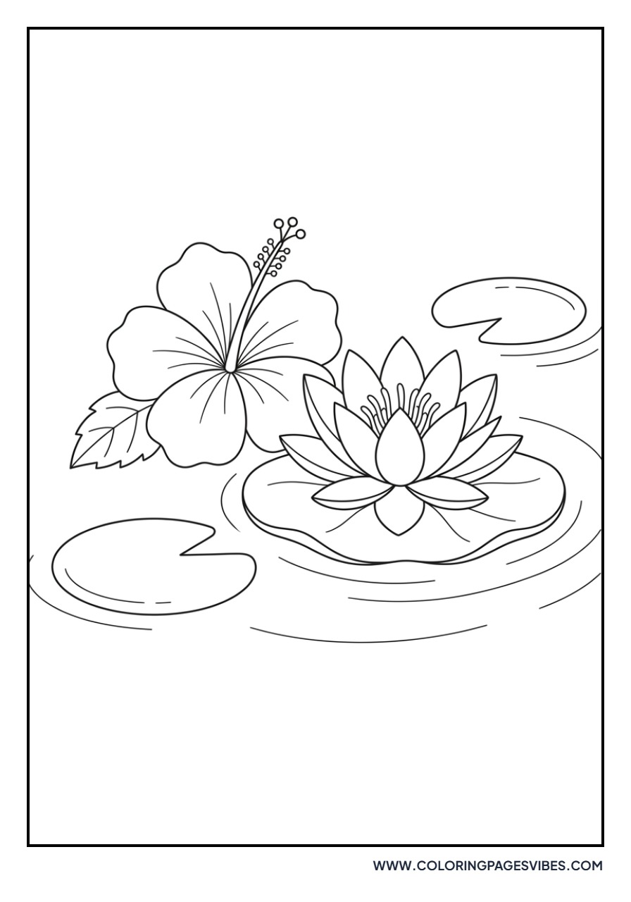 Hibiscus and Water Lily
