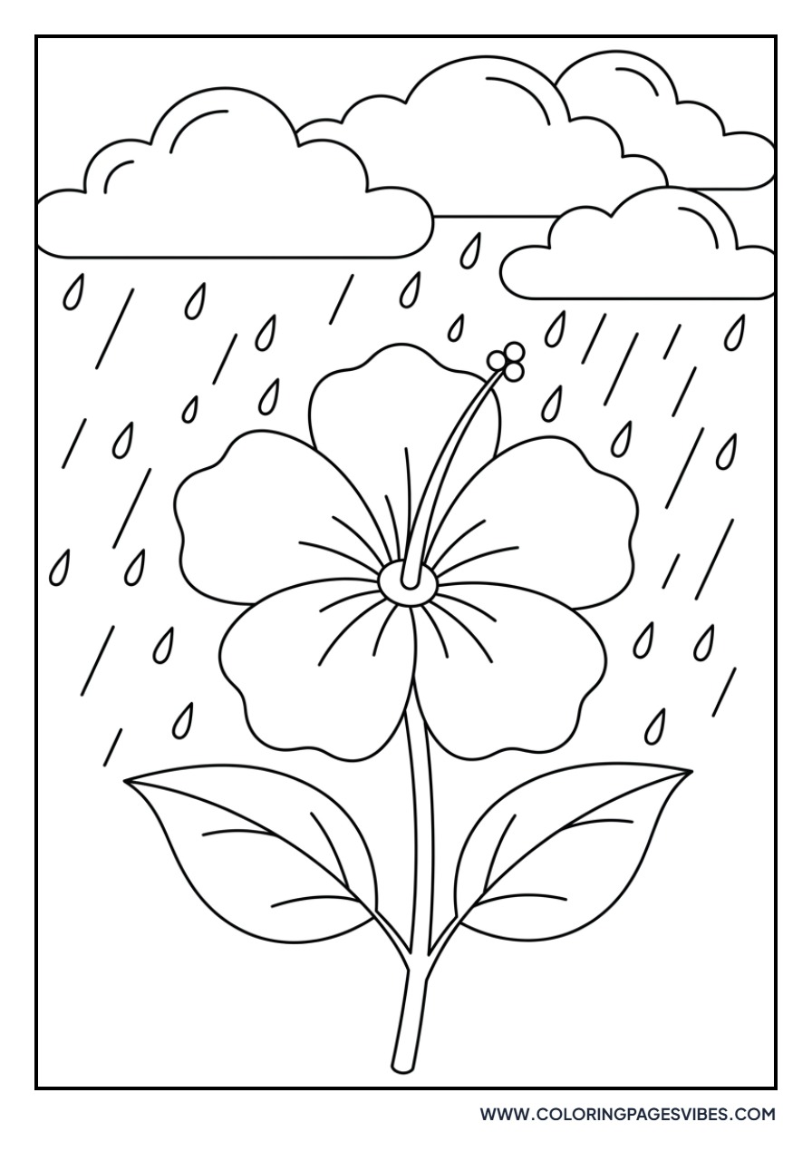 Hibiscus in the Rain