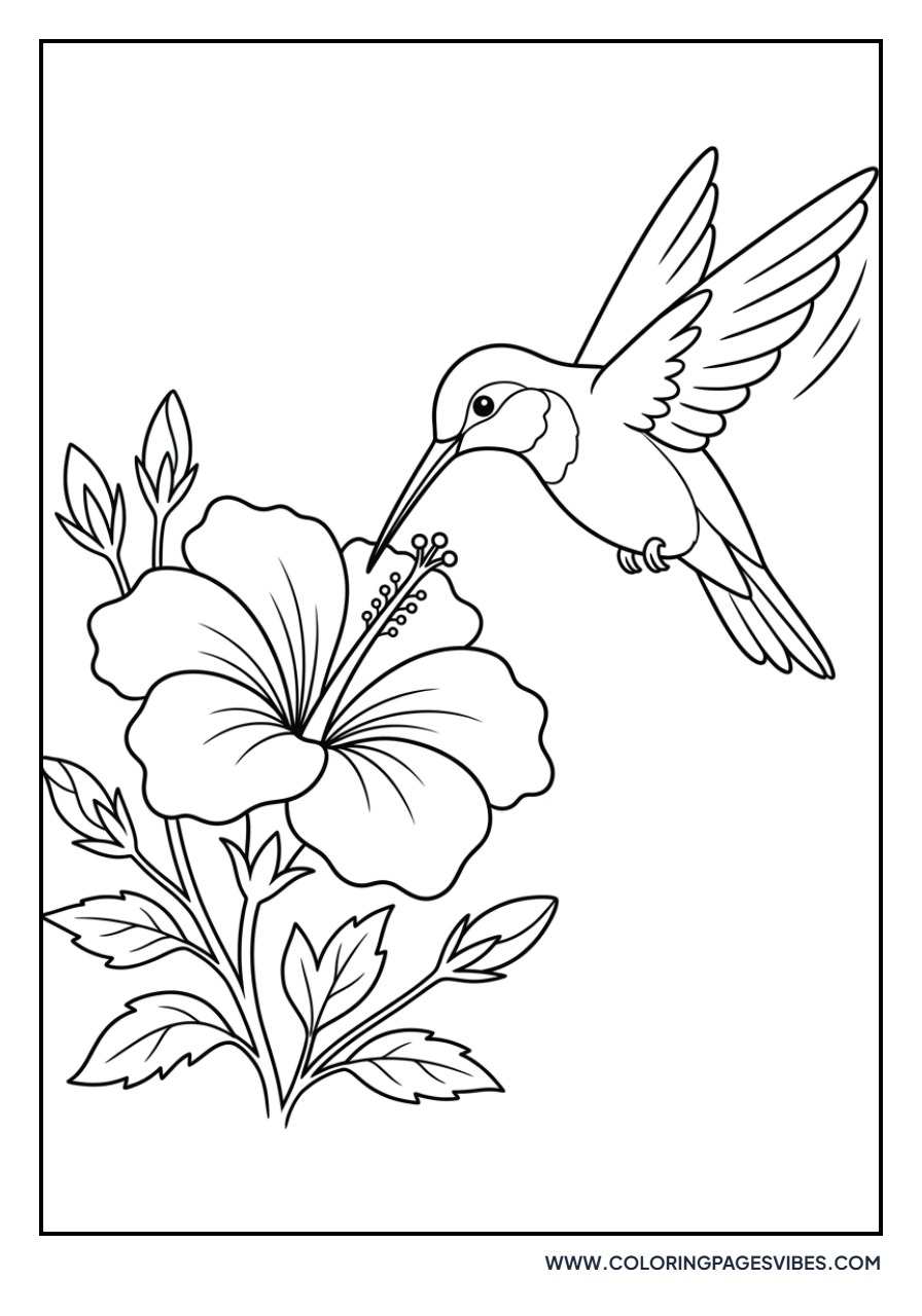 Hummingbird and Hibiscus