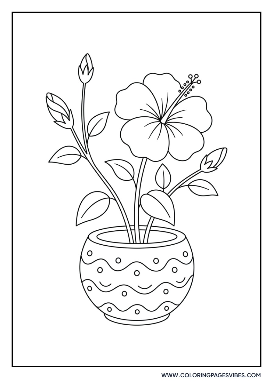 Potted Hibiscus Plant