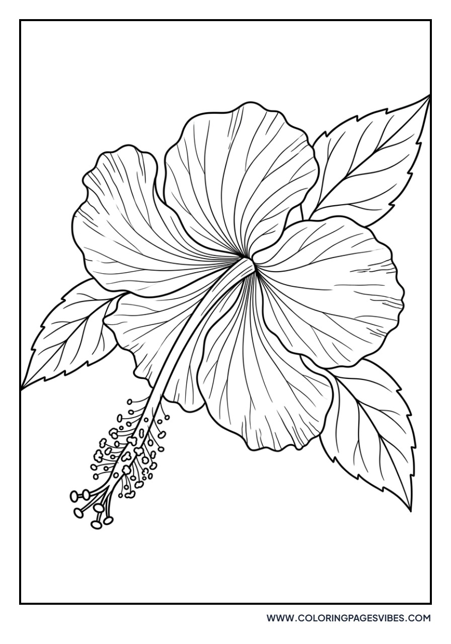 Realistic Hibiscus Close-up