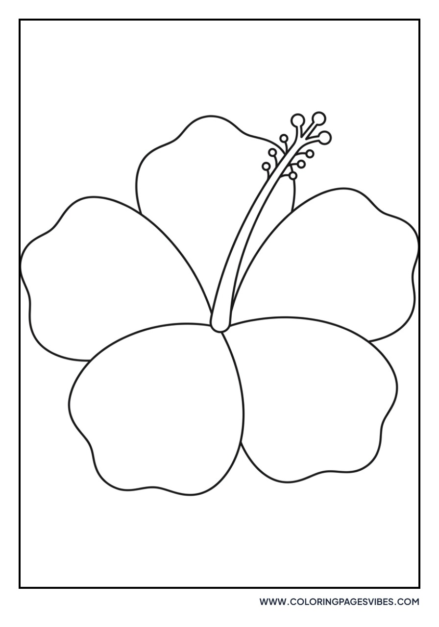Simple Hibiscus Outline