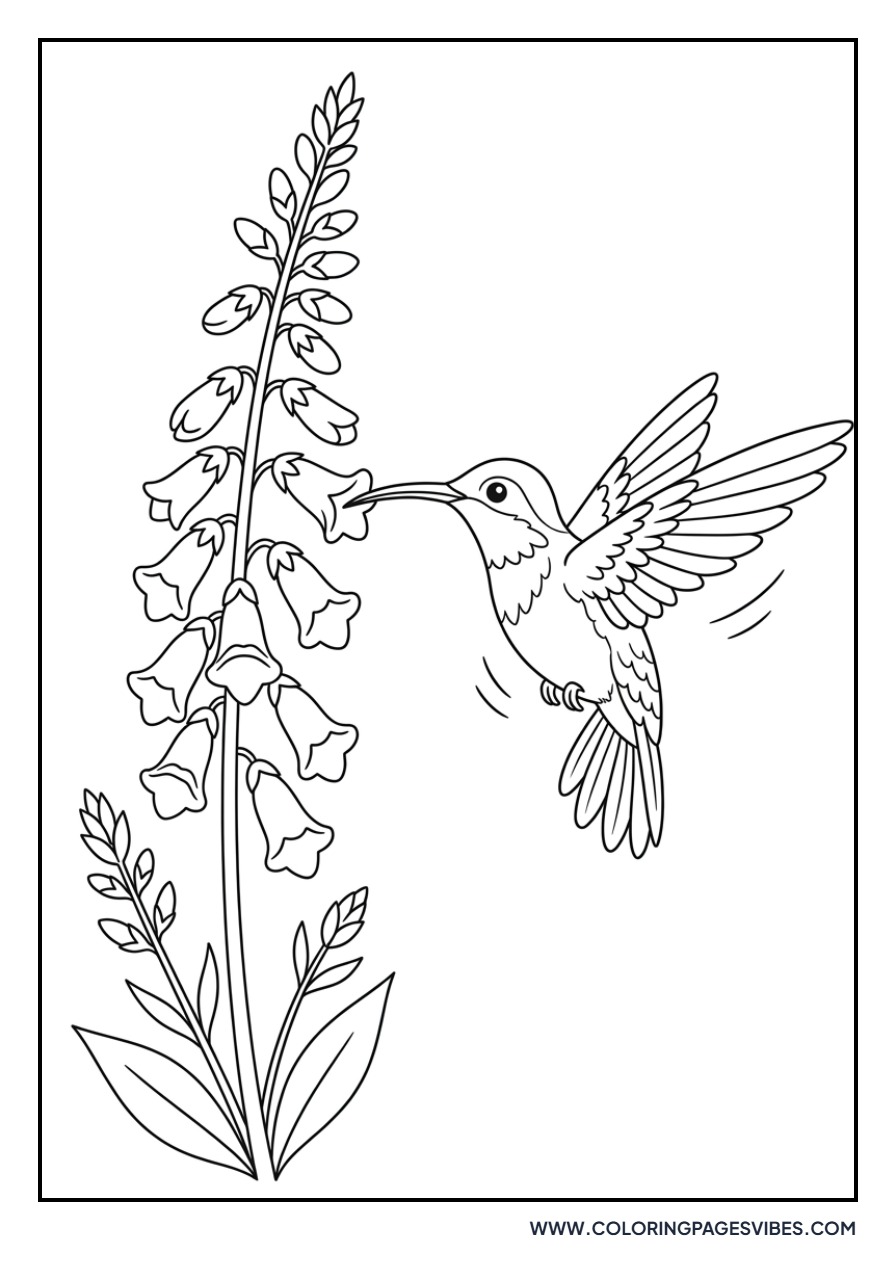 Hummingbird and Lavender