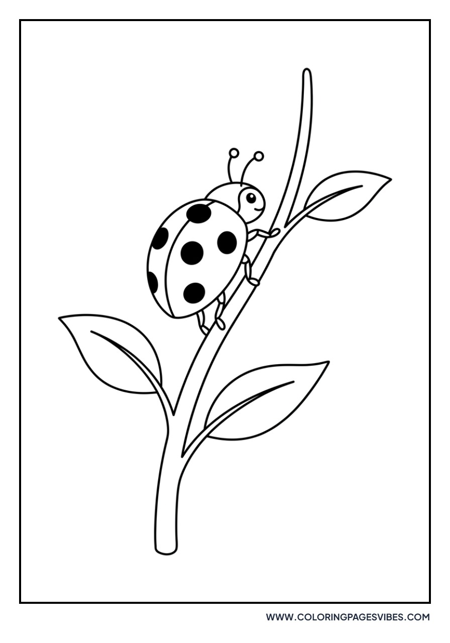 Ladybug on Lavender