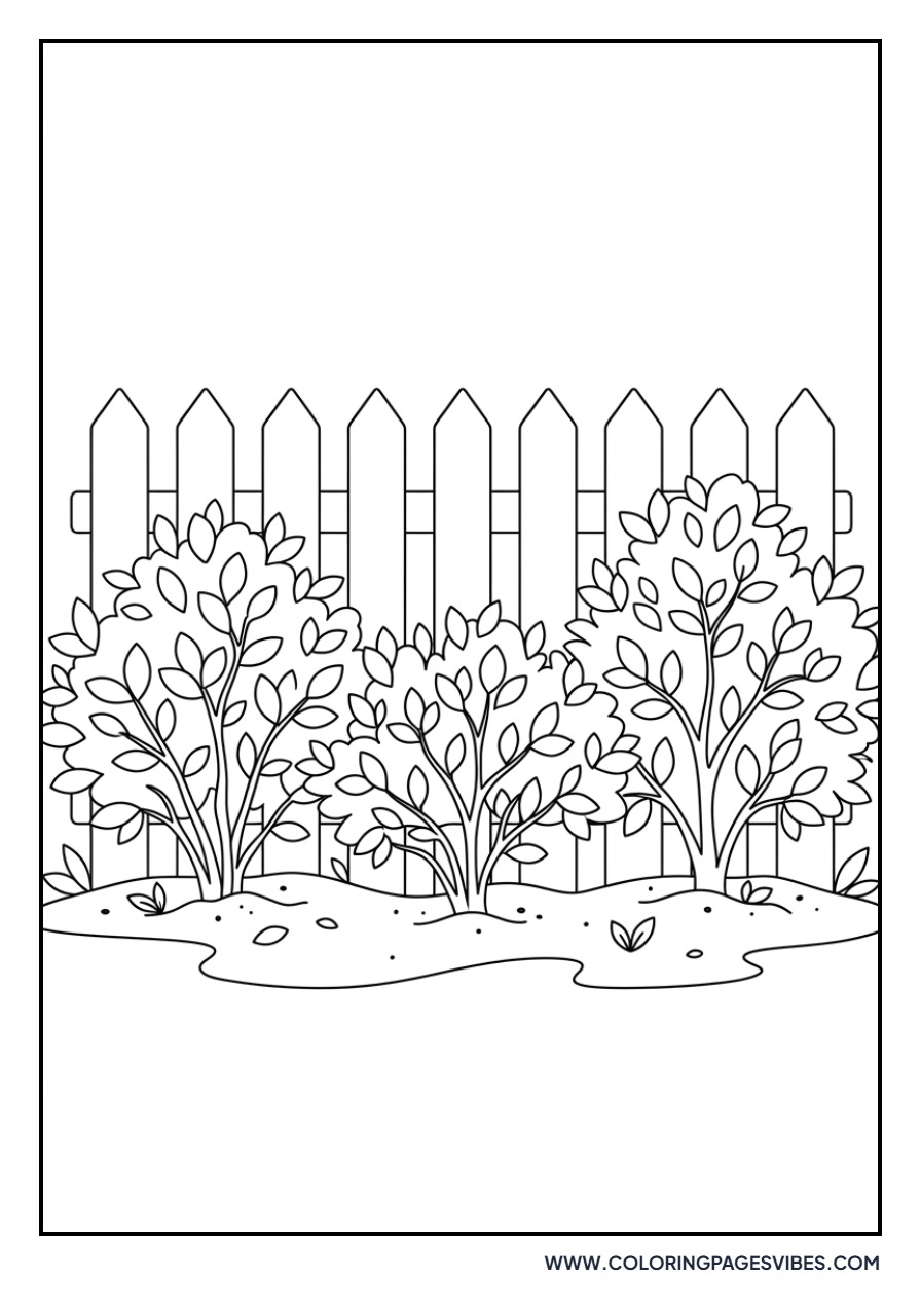Lavender and Picket Fence