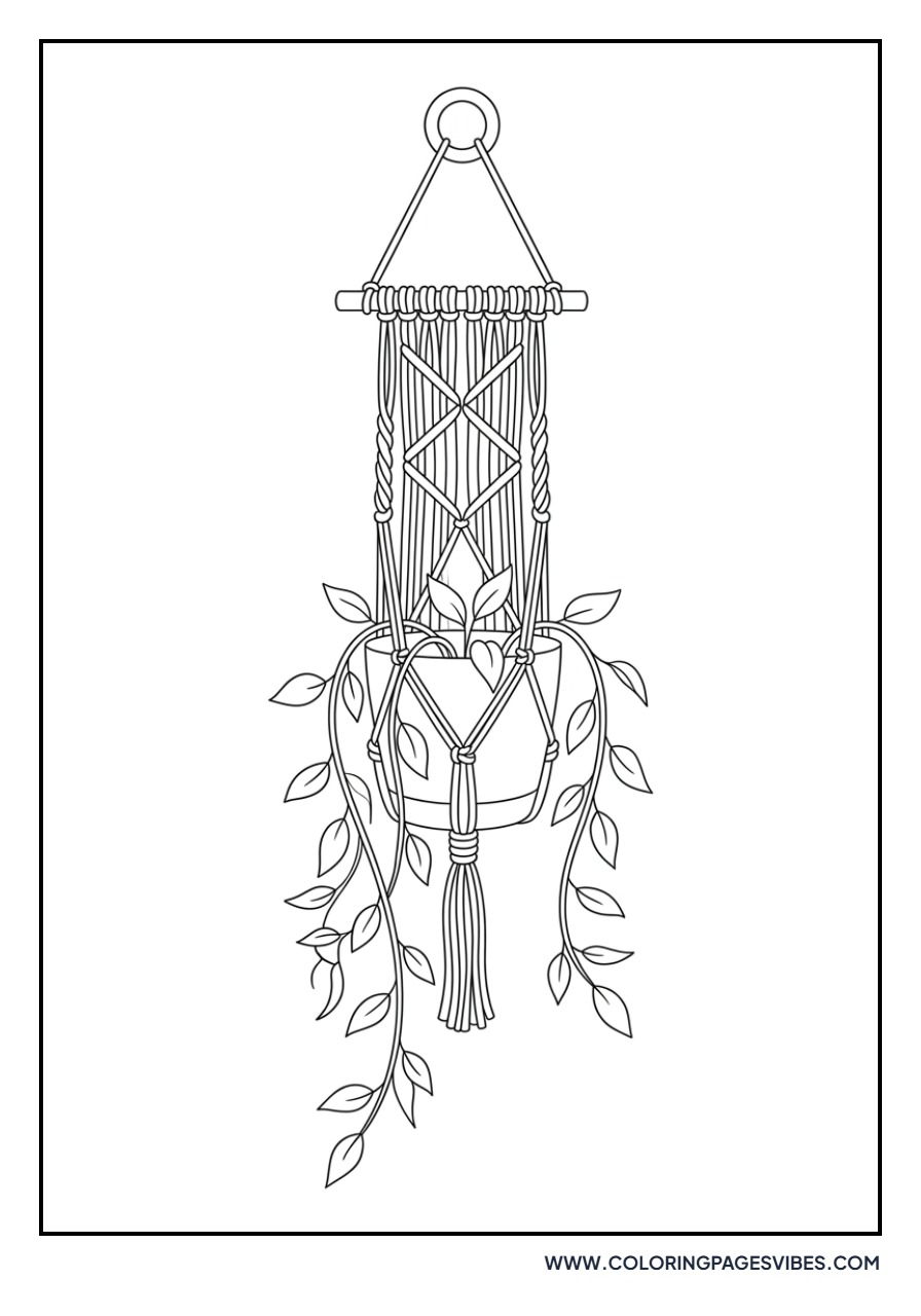 Lavender Hanging Basket