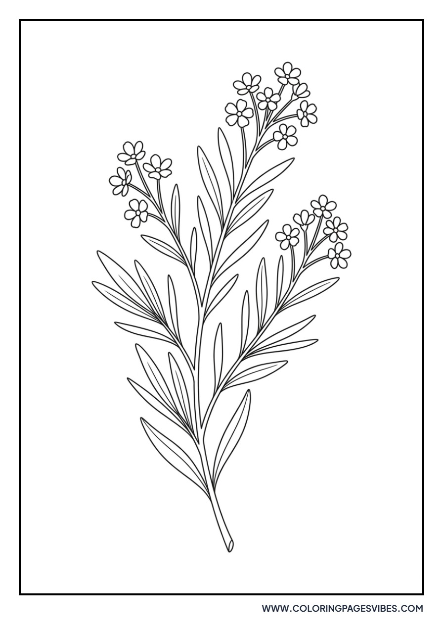 Single Lavender Sprig