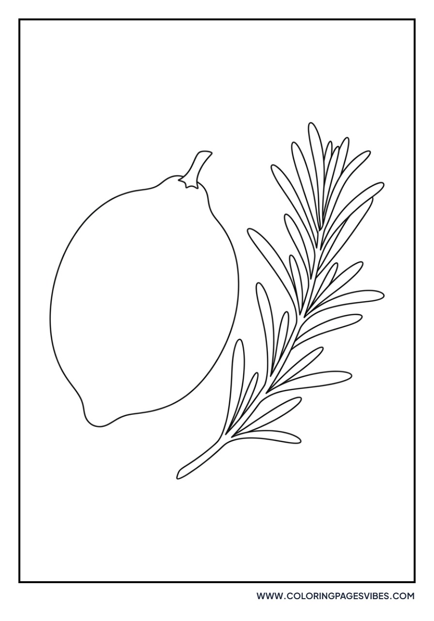 Lemon and Rosemary