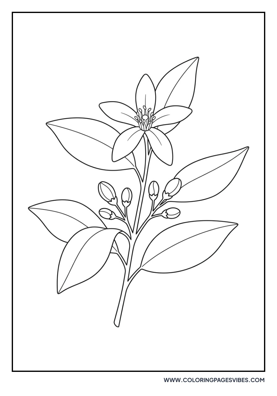 Lemon Blossom Flower