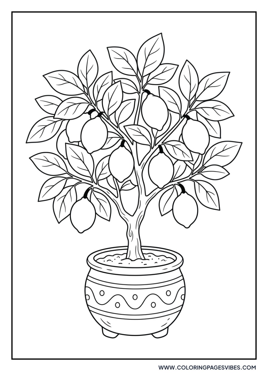 Lemon Tree in a Pot