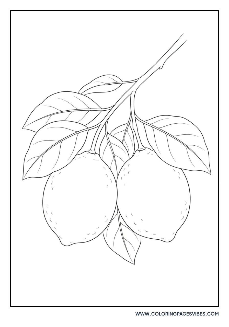 Two Lemons on a Branch