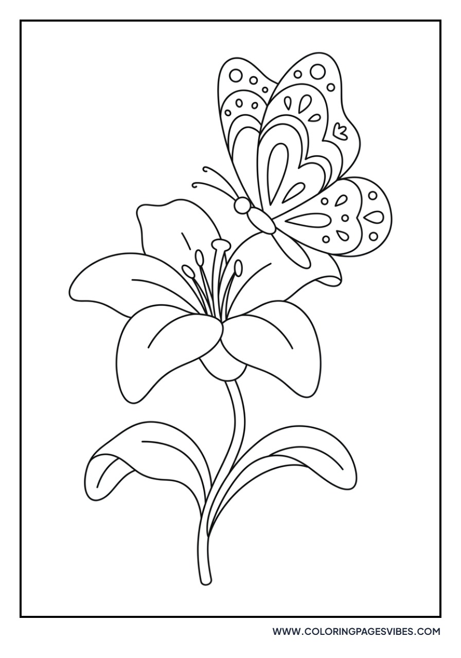 Lily and Butterfly