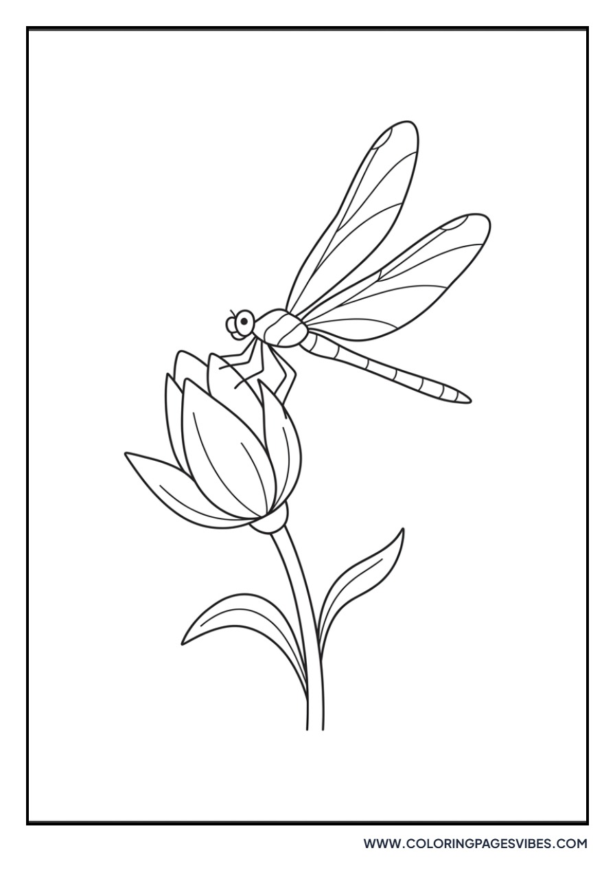 Lily and Dragonfly