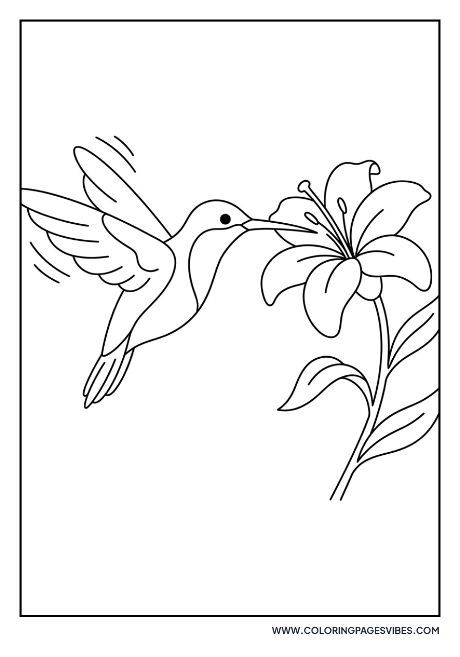 Lily and Hummingbird