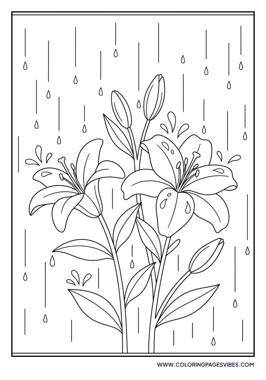 Lily and Raindrops