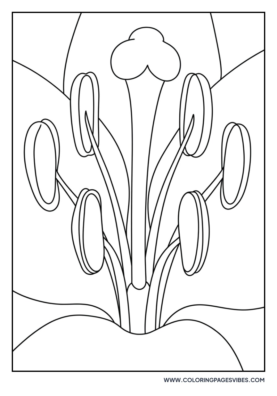 Lily Petal Close-up