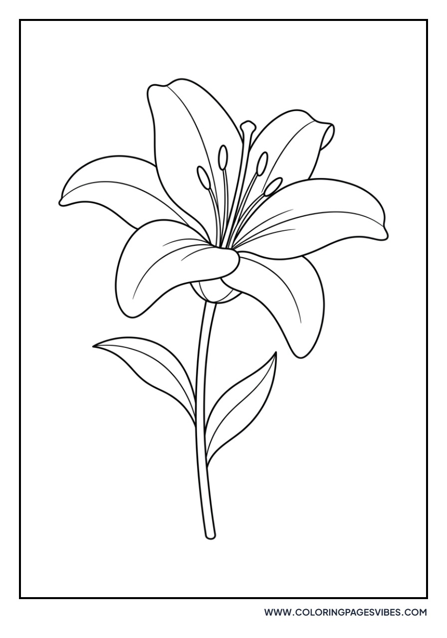 Lily Silhouette