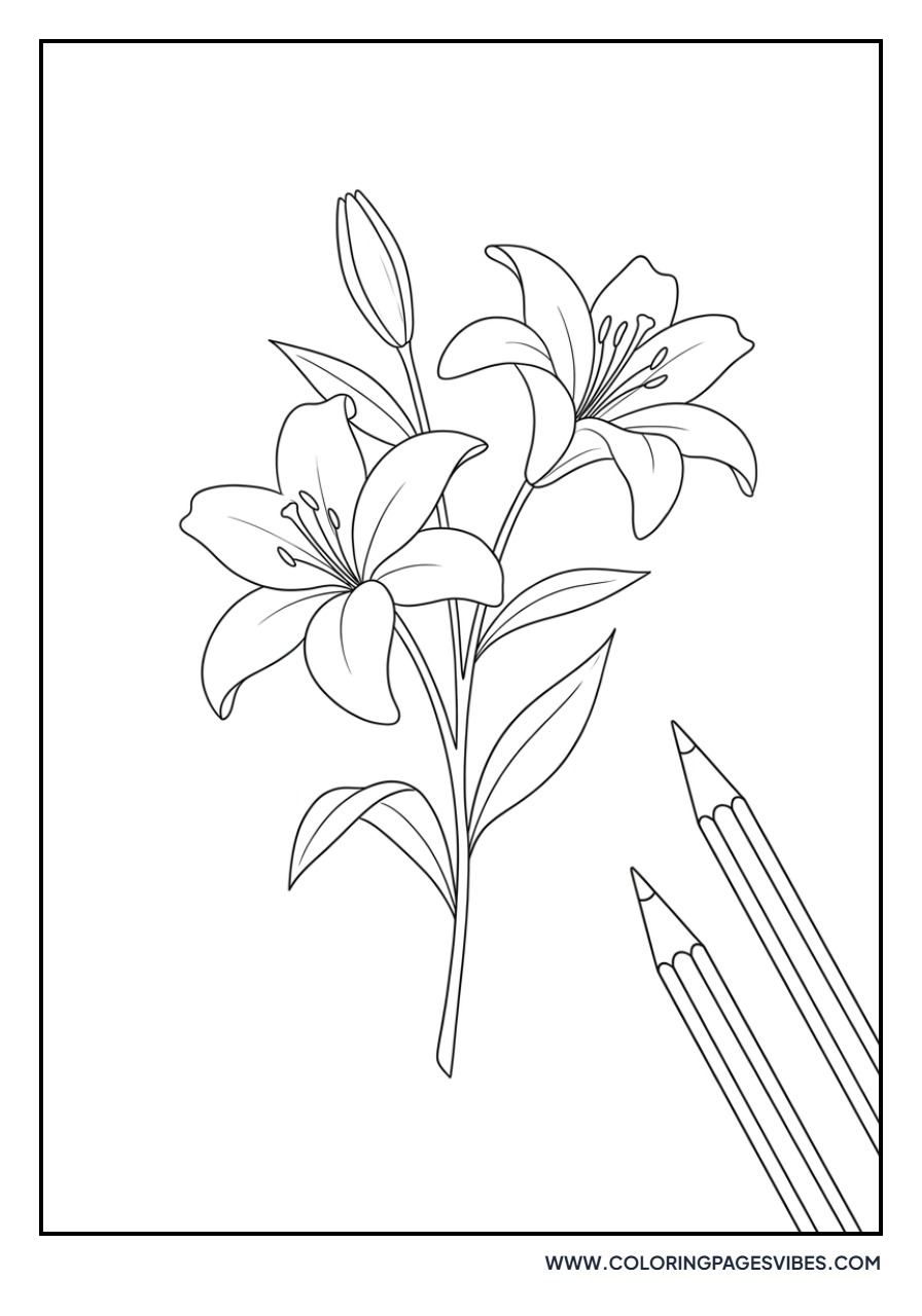 Lily Sketch in Notebook