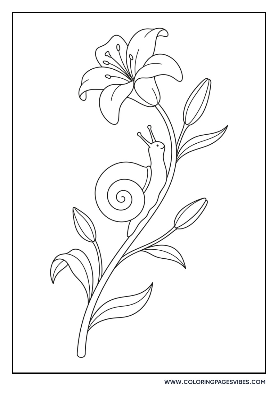 Lily with Garden Snail