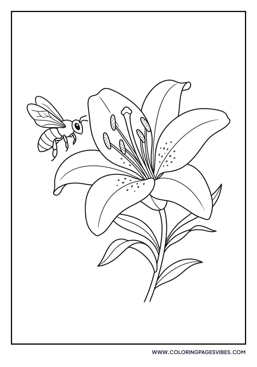 Lily with Honeybee