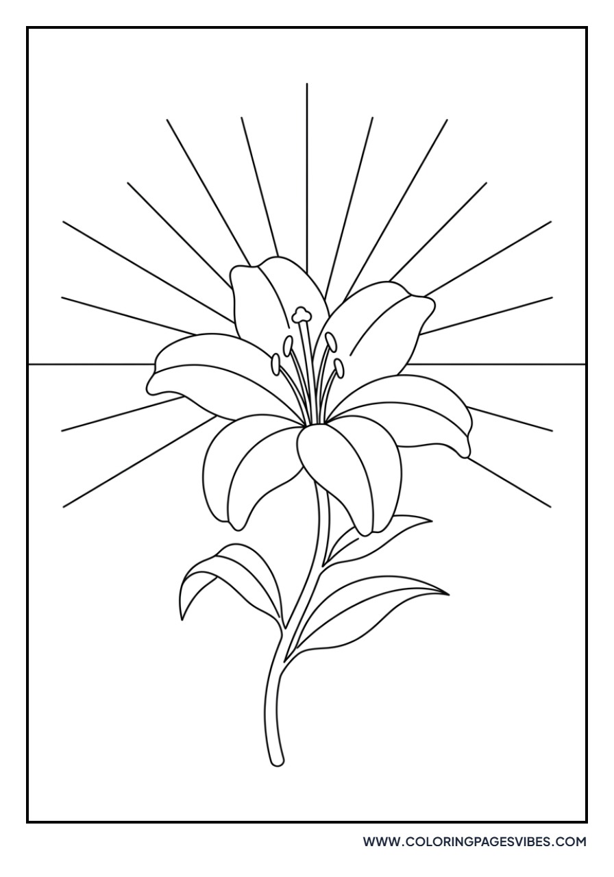 Lily with Morning Sun