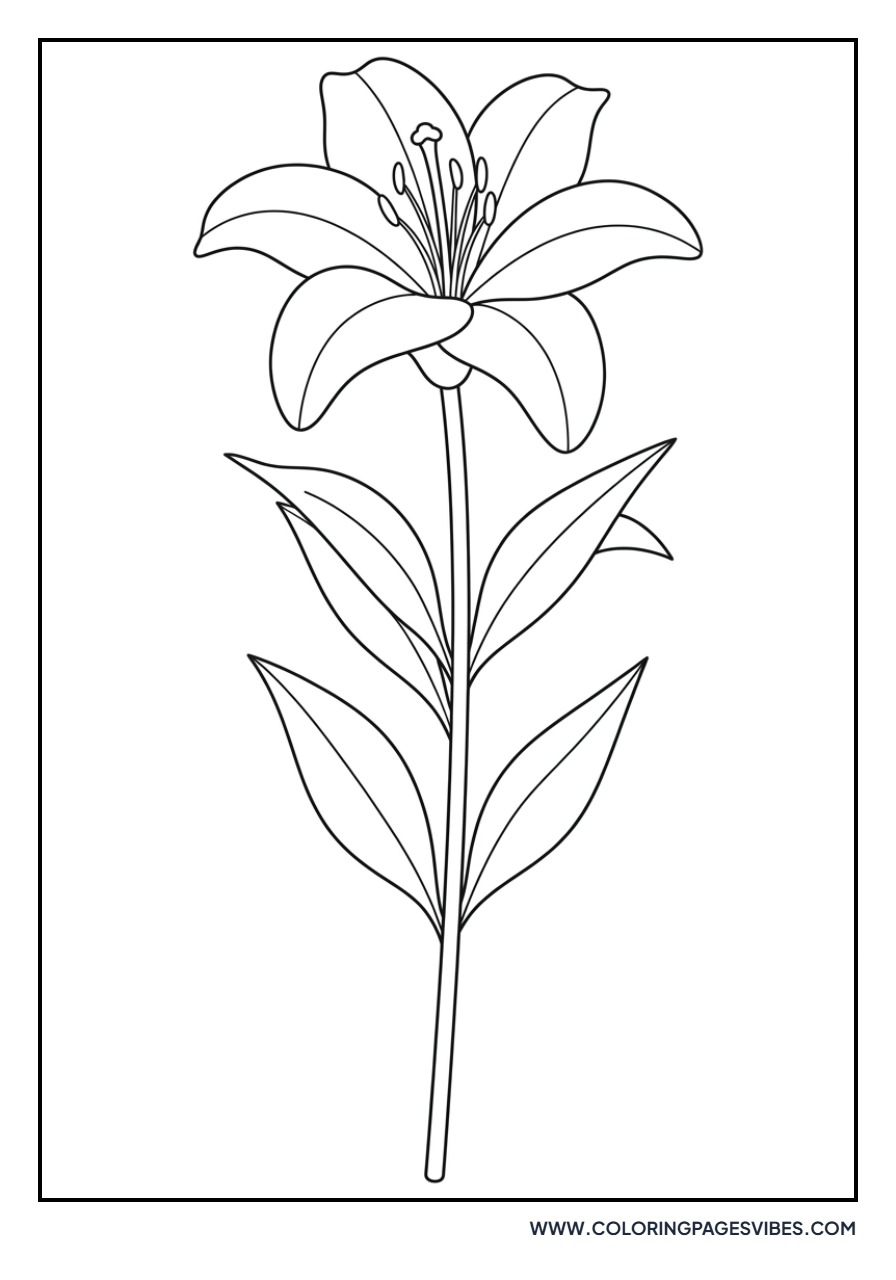 Long Stemmed Lily
