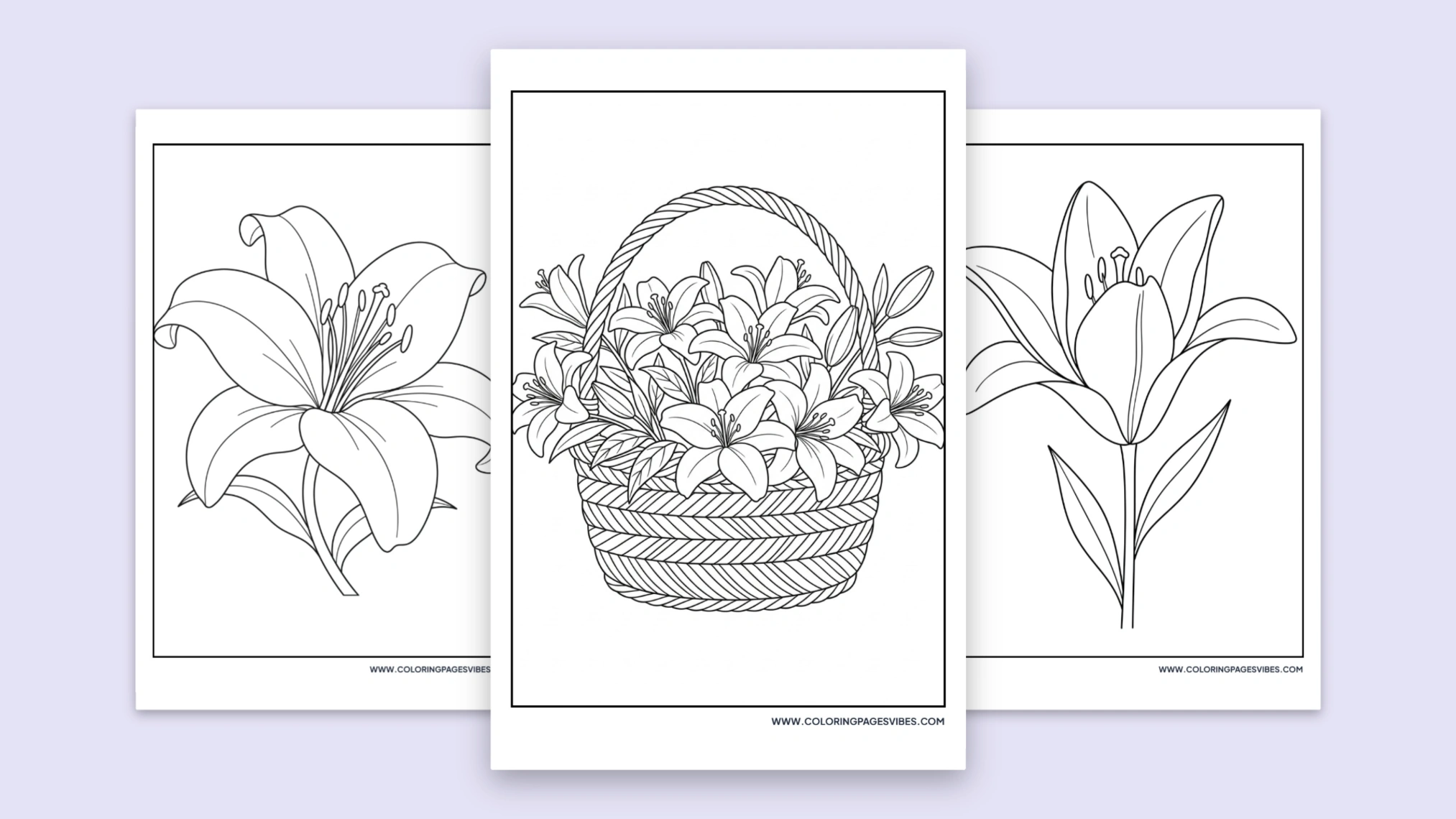 45 Free Printable Lily Coloring Pages (PDF Download)