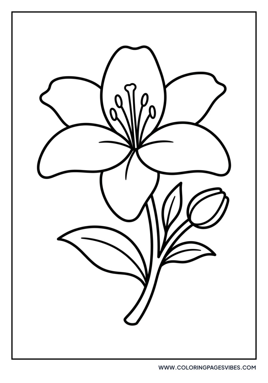 Simple Blooming Lily