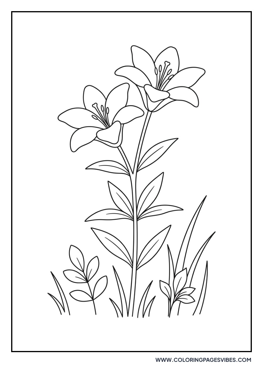 Wood Lily in the Forest