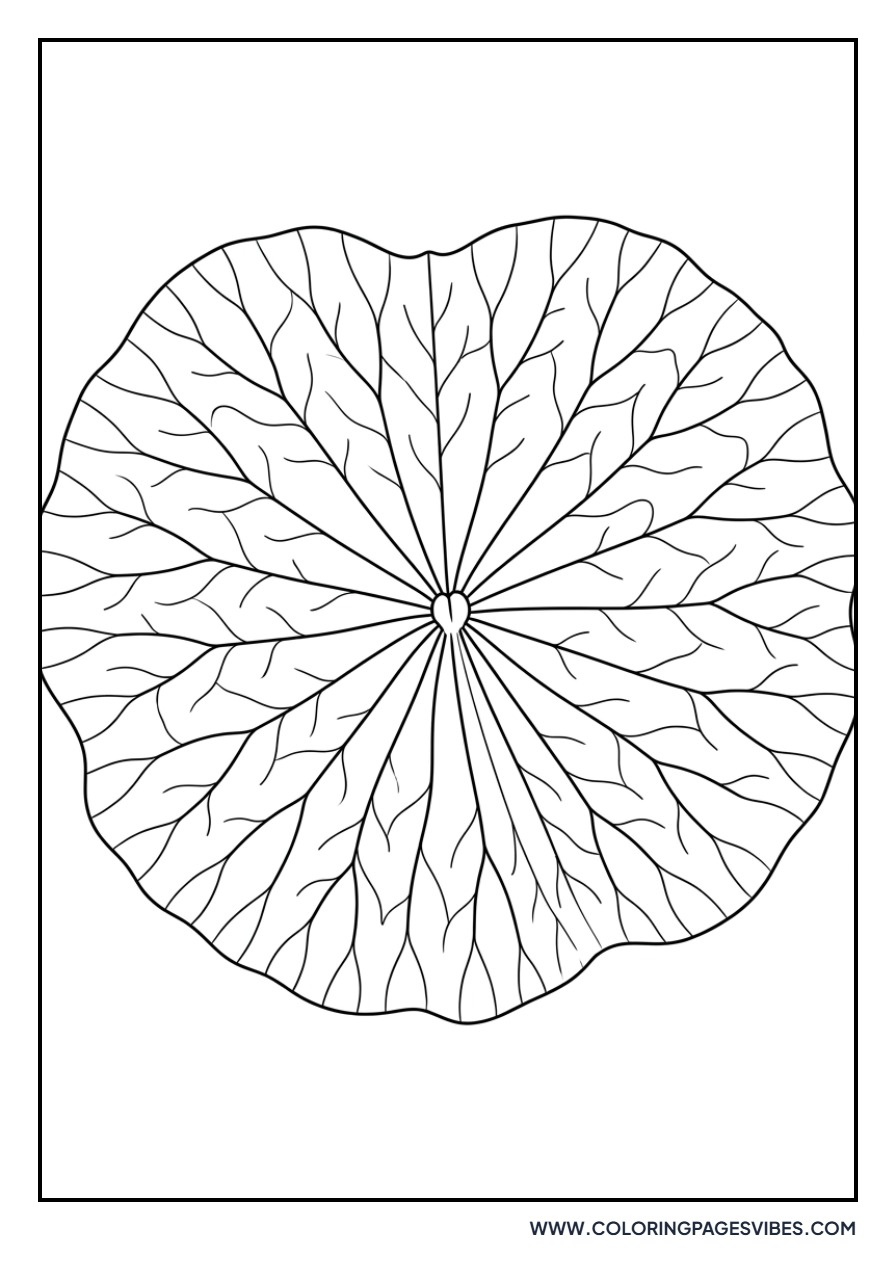 Detailed Lotus Leaf