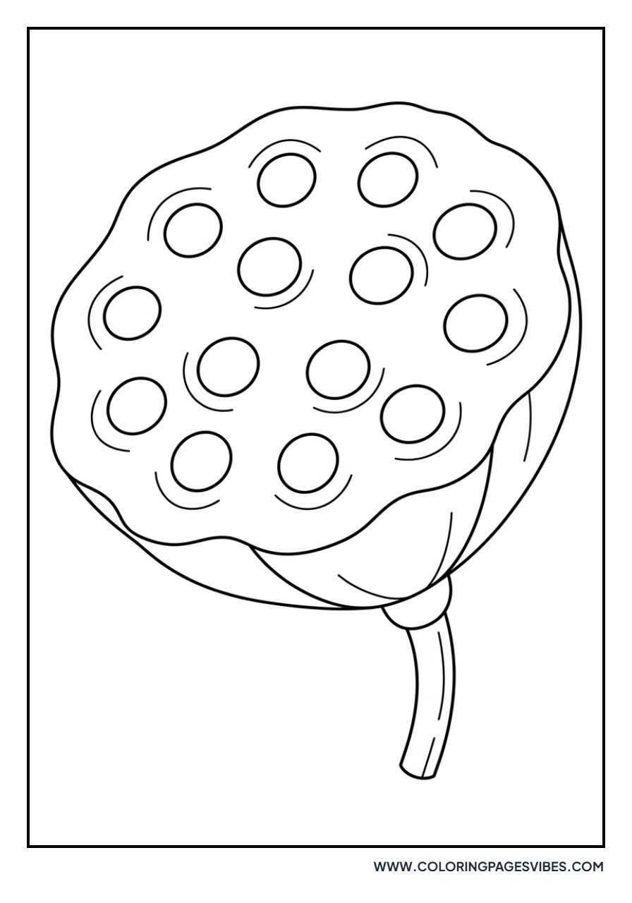 Detailed Lotus Seed Pod