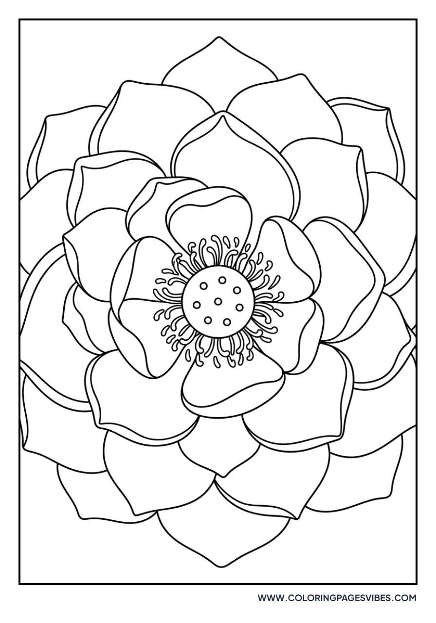 Intricate Petal Layers