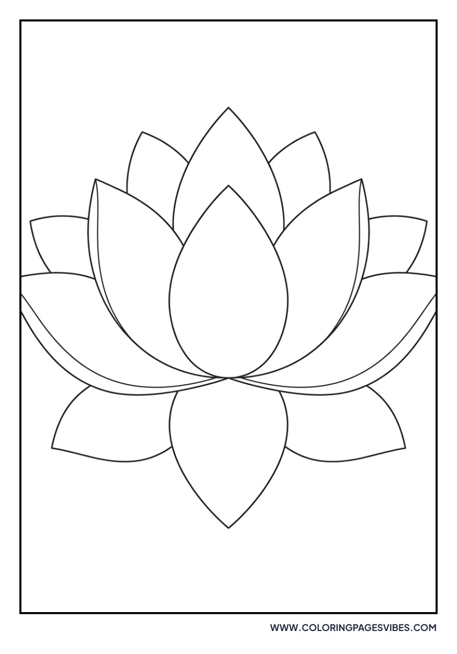 Large Petal Lotus