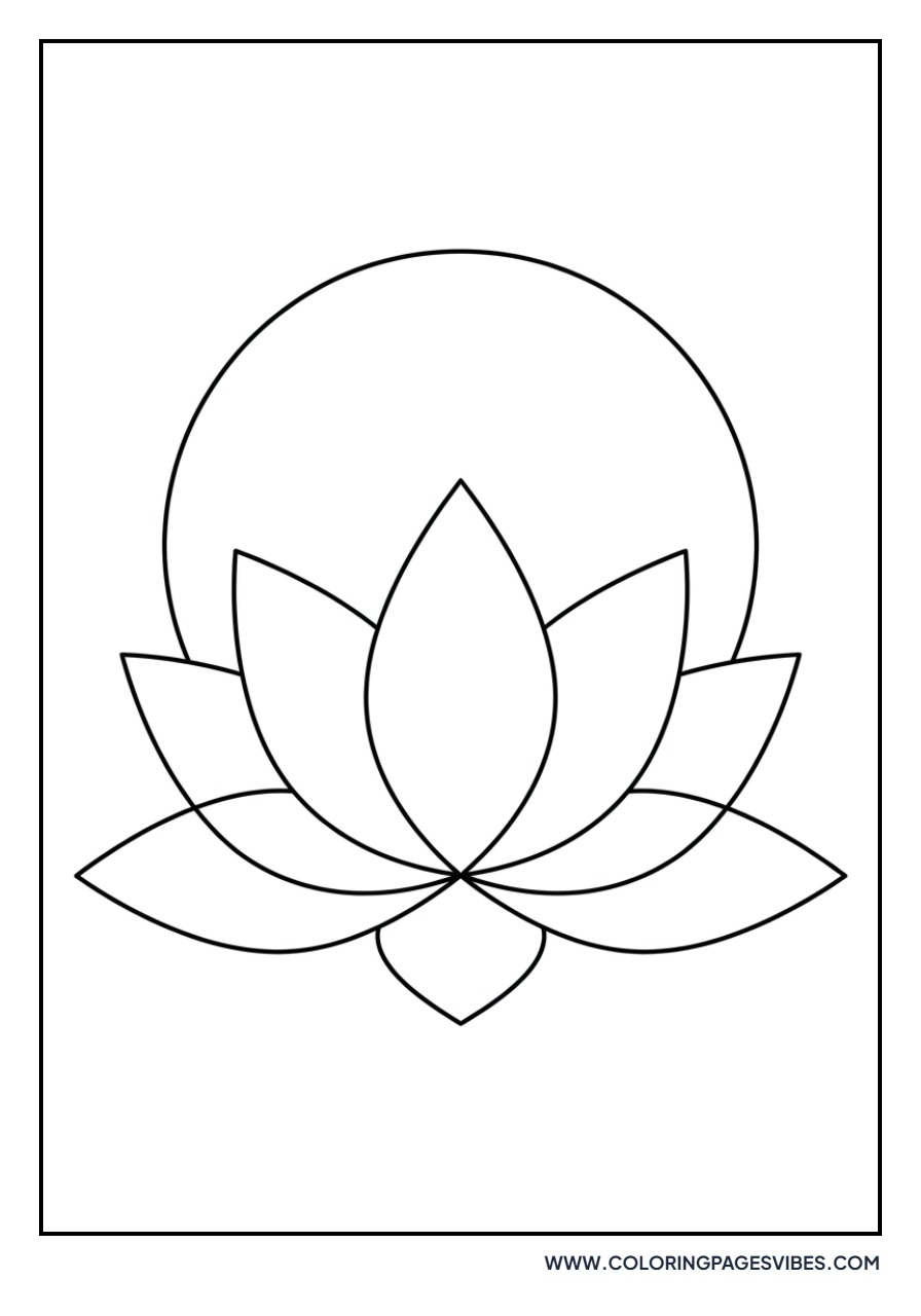 Lotus Flower and Sunsets
