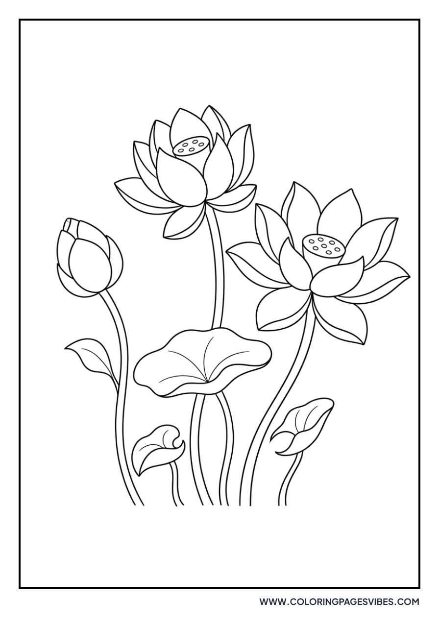 Lotus Flower Trio