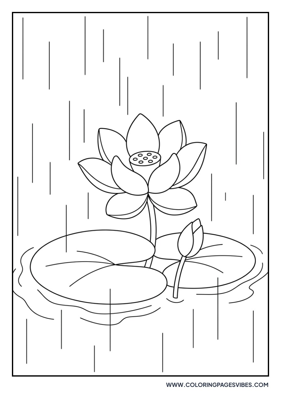 Lotus in the Rain